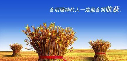 网站内容不更新|网站需要每天添加内容吗|北京制作网站